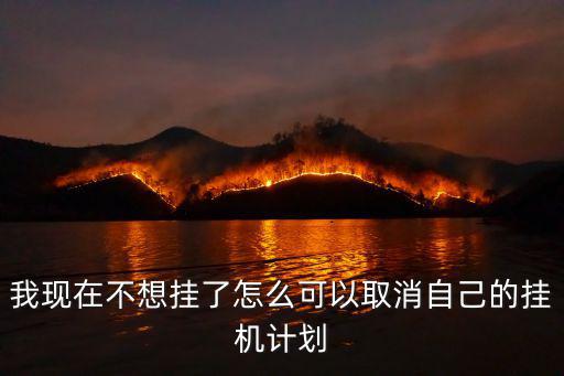 我现在不想挂了怎么可以取消自己的挂机计划