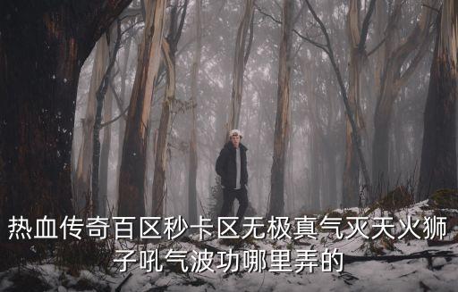 热血传奇百区秒卡区无极真气灭天火狮子吼气波功哪里弄的