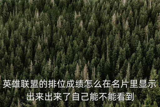 英雄联盟的排位成绩怎么在名片里显示出来出来了自己能不能看到