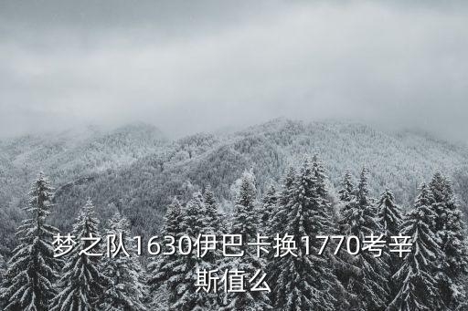 梦之队1630伊巴卡换1770考辛斯值么