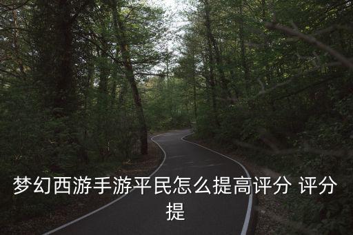 梦幻西游手游平民怎么提高评分 评分提