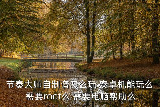 节奏大师自制谱怎么玩 安卓机能玩么 需要root么 需要电脑帮助么