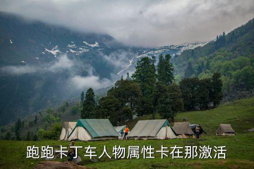 跑跑手游芯片属性怎么激活，跑跑卡丁车人物属性卡在那激活