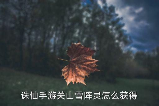 诛仙手游新区阵灵怎么获得，诛仙手游阵灵苏茹怎么获得 道玄真人龌醪馐