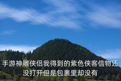 手游神雕侠侣我得到的紫色侠客信物还没打开但是包裹里却没有