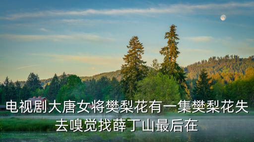 电视剧大唐女将樊梨花有一集樊梨花失去嗅觉找薛丁山最后在