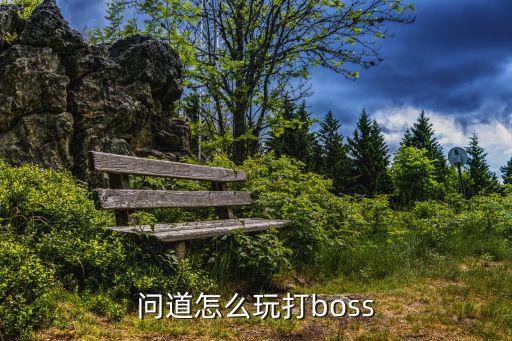 问道怎么玩打boss