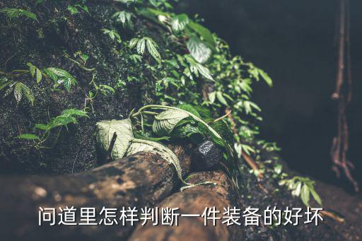 问道里怎样判断一件装备的好坏
