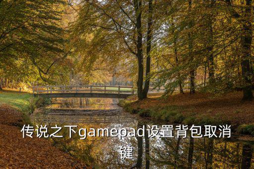 传说之下gamepad设置背包取消键