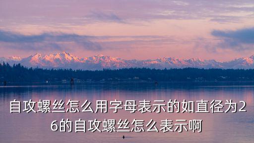 凹凸世界手游电池螺丝怎么用，自攻螺丝怎么用字母表示的如直径为26的自攻螺丝怎么表示啊