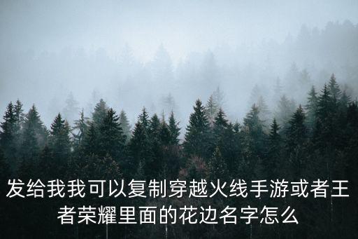发给我我可以复制穿越火线手游或者王者荣耀里面的花边名字怎么