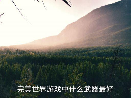 完美世界游戏中什么武器最好