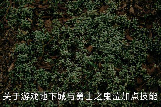 dnf手游韩服鬼泣怎么加属性，关于游戏地下城与勇士之鬼泣加点技能