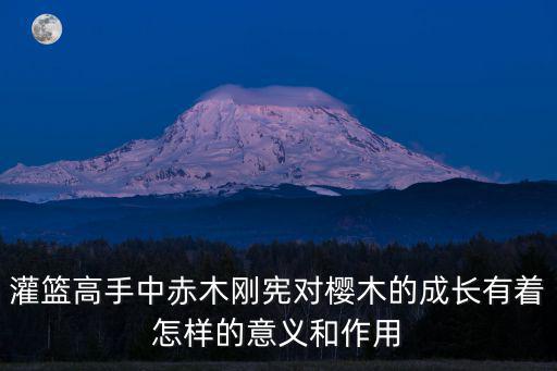 灌篮高手中赤木刚宪对樱木的成长有着怎样的意义和作用