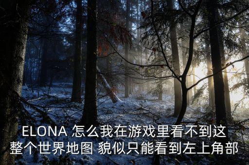 ELONA 怎么我在游戏里看不到这整个世界地图 貌似只能看到左上角部