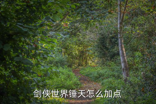 剑侠世界锤天怎么加点