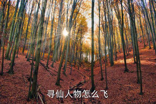 寻仙人物怎么飞