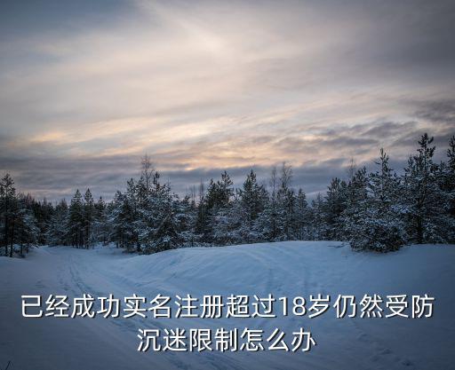 已经成功实名注册超过18岁仍然受防沉迷限制怎么办