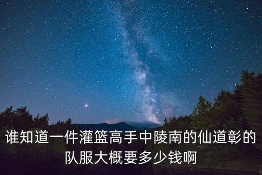 谁知道一件灌篮高手中陵南的仙道彰的队服大概要多少钱啊