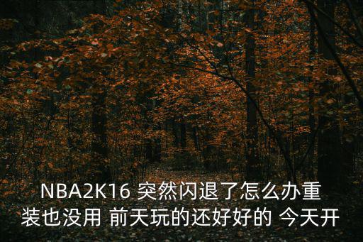 NBA2K16 突然闪退了怎么办重装也没用 前天玩的还好好的 今天开
