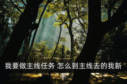 我要做主线任务 怎么到主线去的我新手