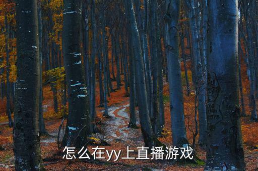 怎么在yy上直播游戏