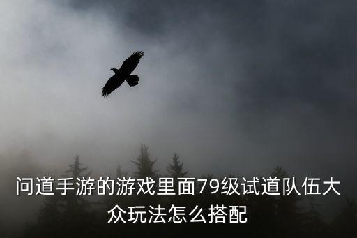问道手游的游戏里面79级试道队伍大众玩法怎么搭配