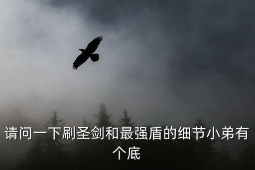 请问一下刷圣剑和最强盾的细节小弟有个底
