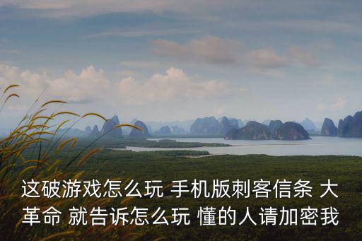这破游戏怎么玩 手机版刺客信条 大革命 就告诉怎么玩 懂的人请加密我