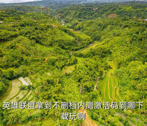 英雄联盟拿到不删档内测激活码到哪下载玩啊
