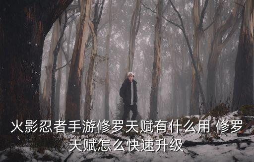 火影忍者手游修罗天赋有什么用 修罗天赋怎么快速升级