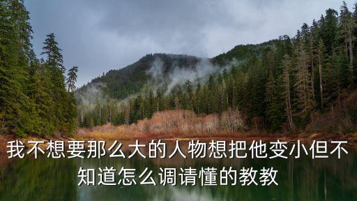 我不想要那么大的人物想把他变小但不知道怎么调请懂的教教
