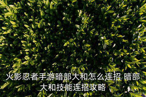 火影忍者手游暗部大和怎么连招 暗部大和技能连招攻略