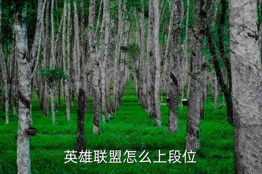 英雄联盟怎么上段位