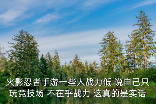 火影忍者手游一些人战力低 说自己只玩竞技场 不在乎战力 这真的是实话