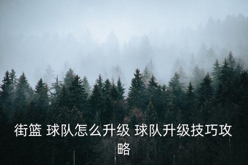 手游2k20球队怎么升级，怎么帮队员提升等级