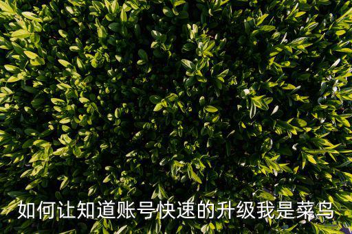 如何让知道账号快速的升级我是菜鸟