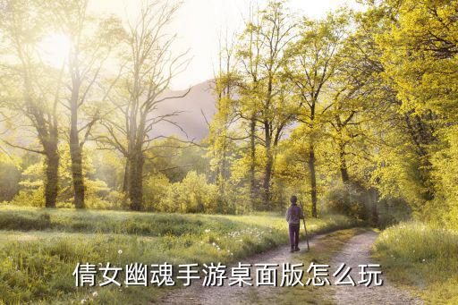 倩女幽魂手游桌面版怎么玩，倩女幽魂手游电脑版怎么操作