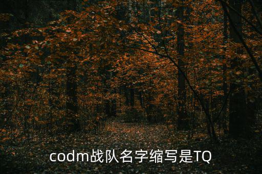 codm手游战队怎么改名字，使命召唤手游战队怎么改名