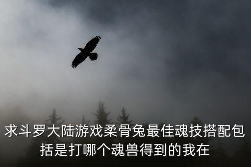 求斗罗大陆游戏柔骨兔最佳魂技搭配包括是打哪个魂兽得到的我在