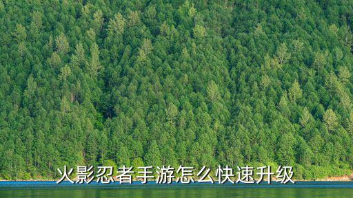 火影忍者手游怎么快速升级
