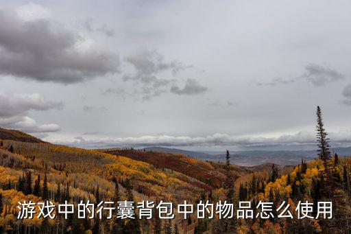 游戏中的行囊背包中的物品怎么使用