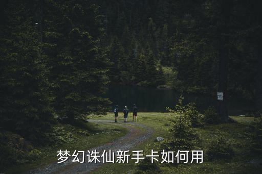 梦幻诛仙新手卡如何用