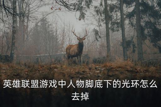 英雄联盟游戏中人物脚底下的光环怎么去掉