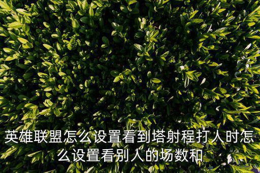 英雄联盟怎么设置看到塔射程打人时怎么设置看别人的场数和
