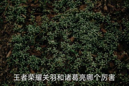 王者荣耀关羽和诸葛亮哪个厉害