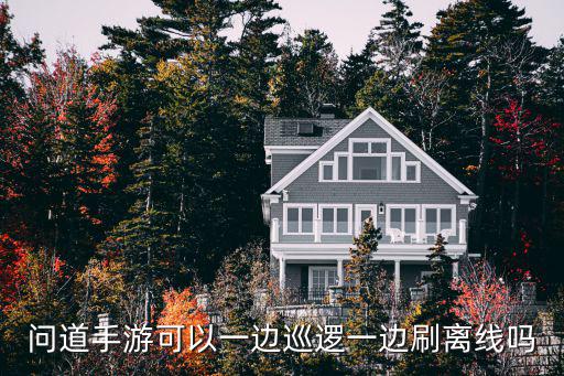 问道手游可以一边巡逻一边刷离线吗