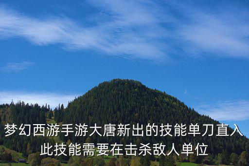 手游大唐大招怎么用，梦幻西游手游大唐新出的技能单刀直入此技能需要在击杀敌人单位