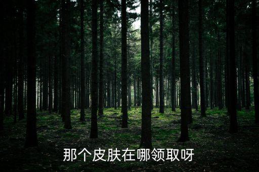 那个皮肤在哪领取呀