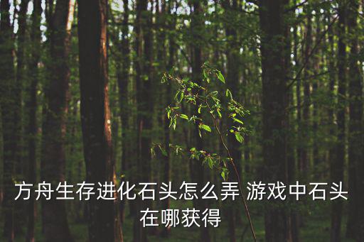 方舟生存进化石头怎么弄 游戏中石头在哪获得